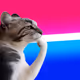 8680