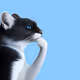 6358