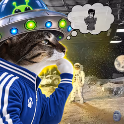 Thinking Cat #1771