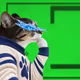 Thinking Cat #5292