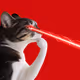Thinking Cat #2860