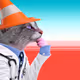 Thinking Cat #6352