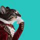 Thinking Cat #5235