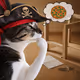 Thinking Cat #1161