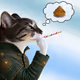 Thinking Cat #1828