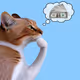 Thinking Cat #1849