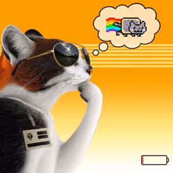 Thinking Cat #7597