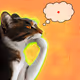 Thinking Cat #3396