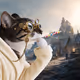 Thinking Cat #9717