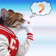 Thinking Cat #1622