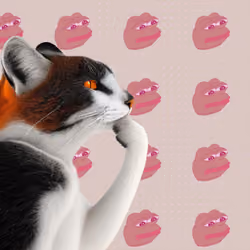 Thinking Cat #8534