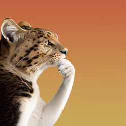 Thinking Cat #8792