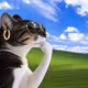 Thinking Cat #3449