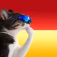 9529