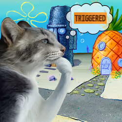 Thinking Cat #2331