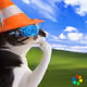 Thinking Cat #6337