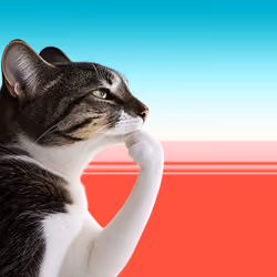 Thinking Cat #6251