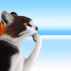 Thinking Cat #2974
