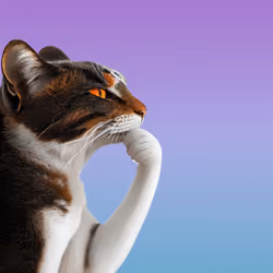 Thinking Cat #6661