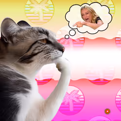 Thinking Cat #6641