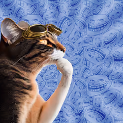 Thinking Cat #6746