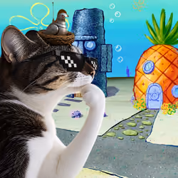 Thinking Cat #9336
