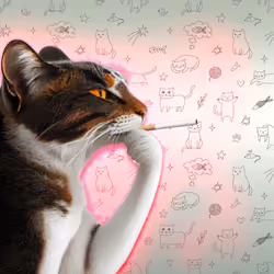 Thinking Cat #5841