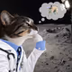 2529