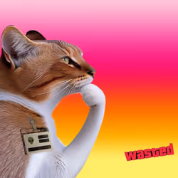 Thinking Cat #4887