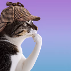 Thinking Cat #9058