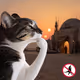 Thinking Cat #8282