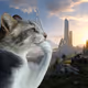 Thinking Cat #7354