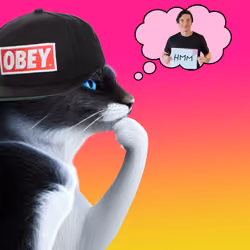 Thinking Cat #4826