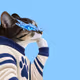 Thinking Cat #7315