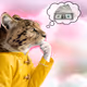 Thinking Cat #431