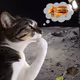 Thinking Cat #479