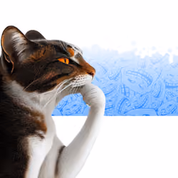 Thinking Cat #7869