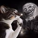 7361