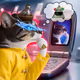 Thinking Cat #5255