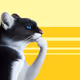 Thinking Cat #1542
