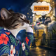 Thinking Cat #1181
