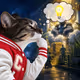 Thinking Cat #2808