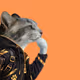 9607