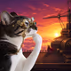 Thinking Cat #207