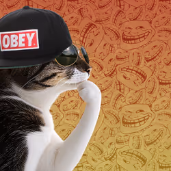 Thinking Cat #640