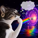 Thinking Cat #9388