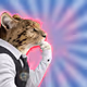 3504