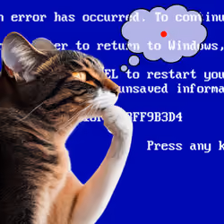 2927