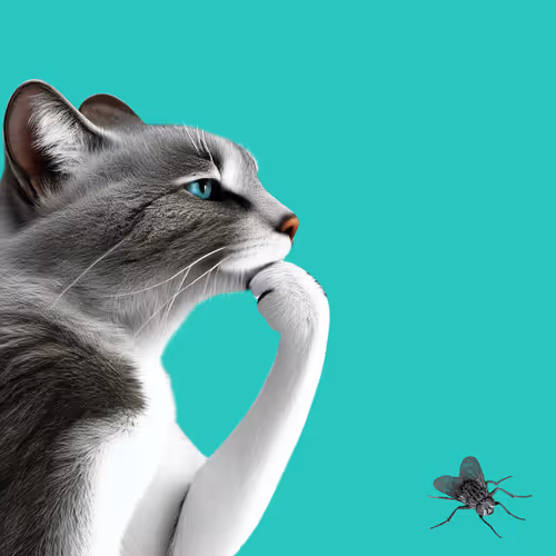 Thinking Cat #6106