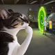 Thinking Cat #6195